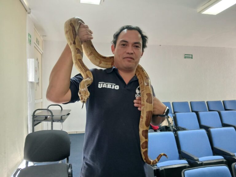Los animales más raros y geniales en la Feria de Mascotas No Convencionales