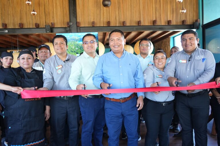 Como el ave fénix: Coco Beach renace del fuego