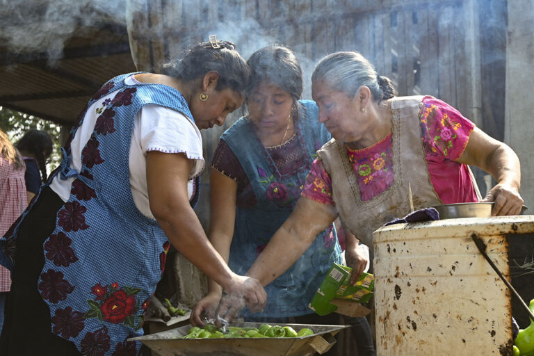 Chile de agua: el sabor que cocineras protegen con fuego