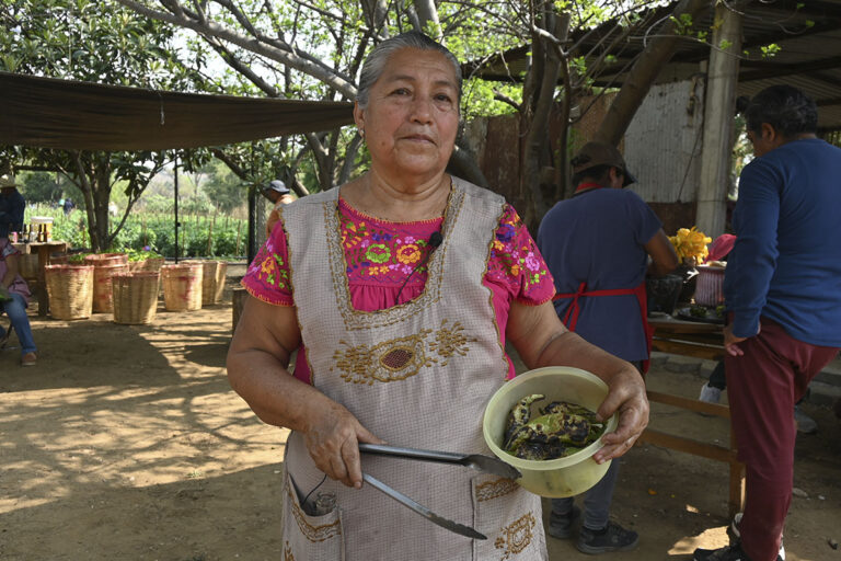 Chiles rellenos: la resistencia que se cocina en Oaxaca