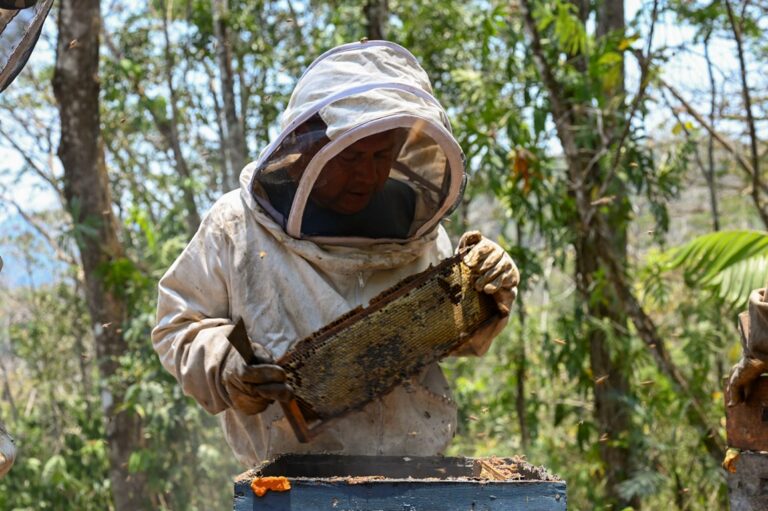 El dulce combate de Ñuñu