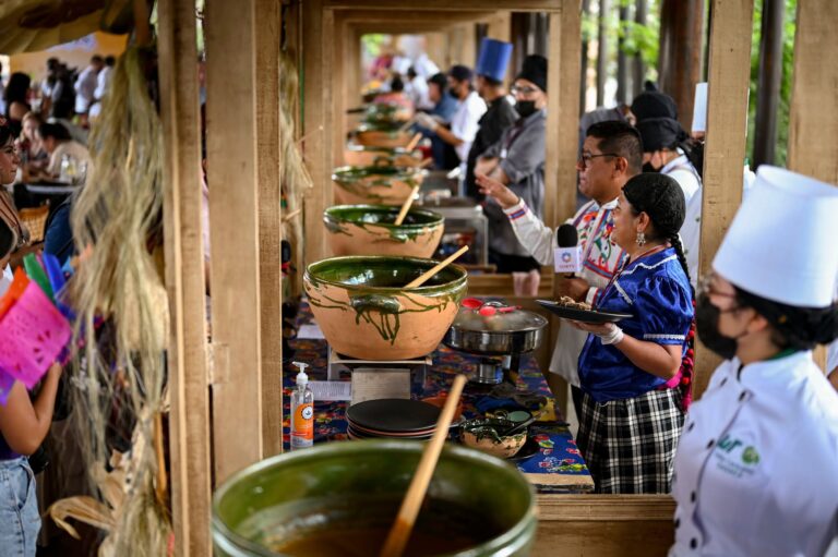 Los moles que dibujaron el mapa de Oaxaca